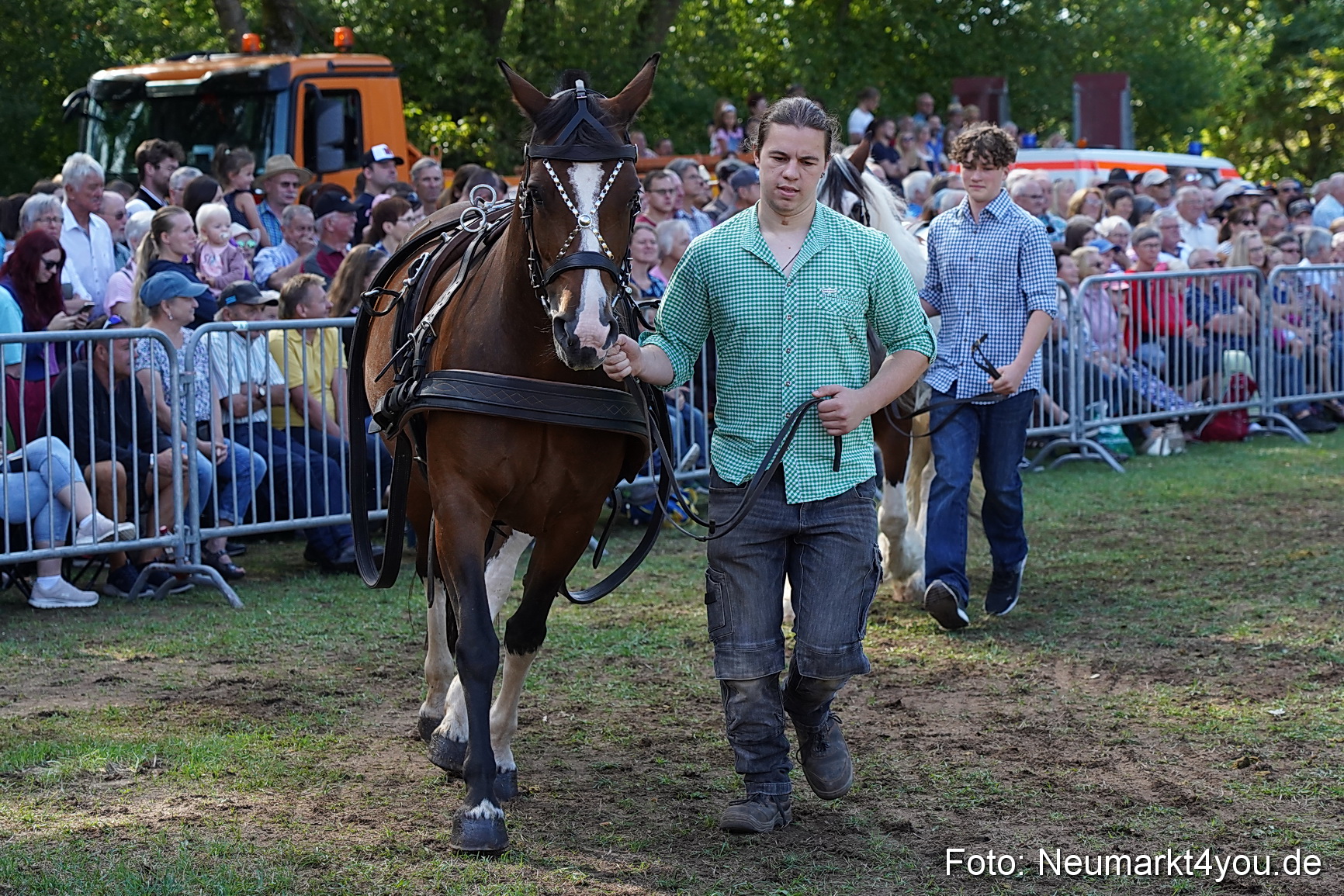 Pferde und Fohlenschau 2022 0170 